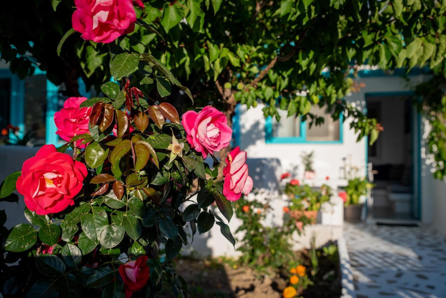 Azzurro Naxos, Azzurro I - Azzurro II - Azzurro III Apartment Naxos City Luaran gambar